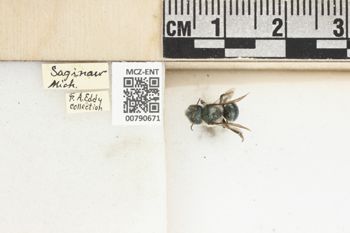 Media type: image;   Entomology 790671 Aspect: Labels